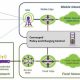 Convergencia Fijo-Móvil en gestión de políticas: claves de negocio y escenarios