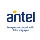 Antel se reestructuró y quiere llegar a 240.000 hogares con FTTH en dos años