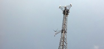 Tigo Paraguay promete inversiones de US$ 2.500 millones en cinco años