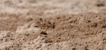 La CRC anunció la apertura de un nuevo proceso de Sandbox Regulatorio Convergente
