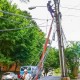 ASEP y operadores removerán cableado aéreo en la ciudad de Panamá