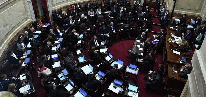 Imagen: Luciano Ingaramo/Cámara de Senadores