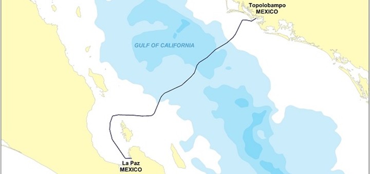 Desplegarán cable submarino sobre el Golfo de California. Imagen: Huawei.