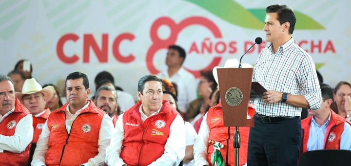 Peña Nieto da detalles del acuerdo con Estados Unidos. Imagen: Presidencia de México.