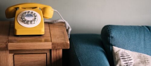 Imagen: anniespratt/Unsplash