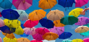 Imagen: Ulises Baga/Unsplash