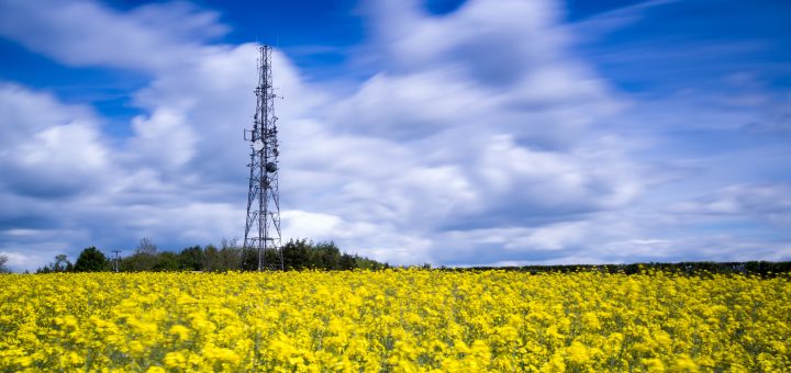 Telecom lidera en la Argentina un clúster de conectividad para el sector agroindustrial