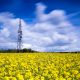 Operadoras regionales de Brasil piden por la banda de 600 MHz para conectividad rural, como en España, y se abre la discusión en torno a la radiodifusión