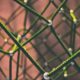 Silica Networks adquirió la filial argentina de Internexa y sumó rutas alternativas de conectividad hacia Chile y Brasil