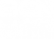 bcn bcn