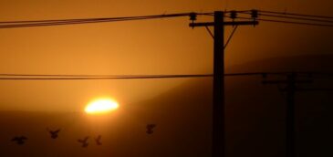 TIM ingresa en el negocio de las energías renovables en sociedad con una empresa suiza