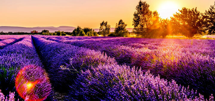 Francia, Rural