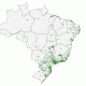 5G en Brasil- Fuente: Anatel