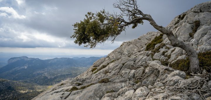 Telefónica Hispam finalizó el año 2024 con ingresos 7,3% superiores y buenas perspectivas futuras en torno a la fibra óptica