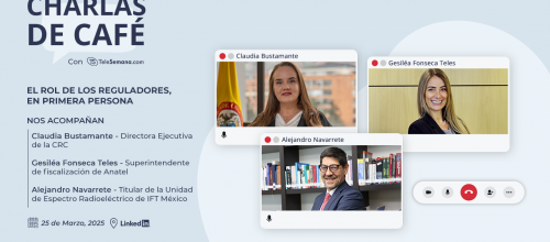 El rol de los reguladores, en primera persona