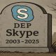 DEP Skype: nacimos juntos, crecimos juntos y gracias por todo