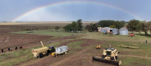 La conectividad rural en la Argentina se ubica muy lejos del promedio nacional